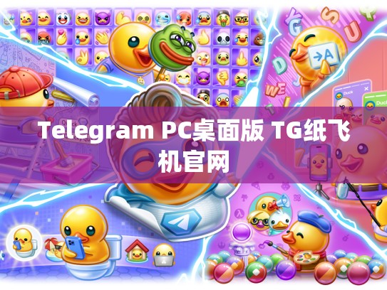 Telegram PC桌面版 TG纸飞机官网