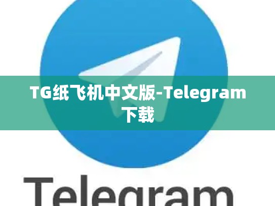 TG纸飞机中文版-Telegram下载