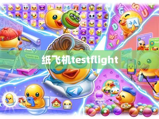 纸飞机testflight