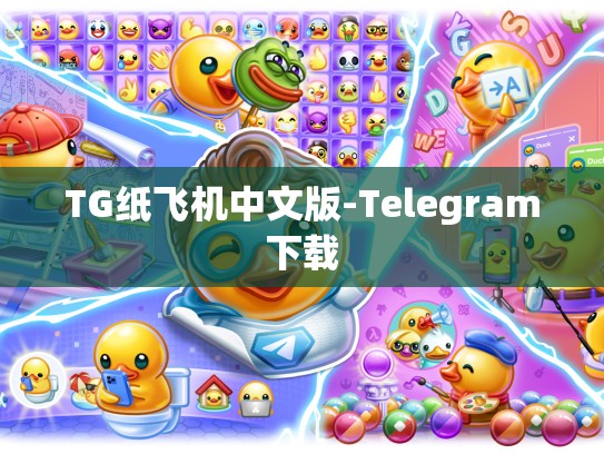 TG纸飞机中文版-Telegram下载