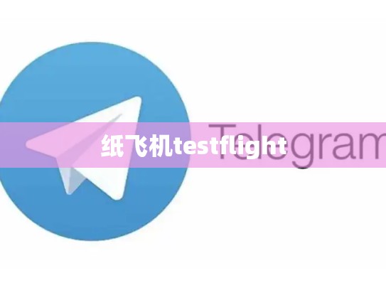 纸飞机testflight