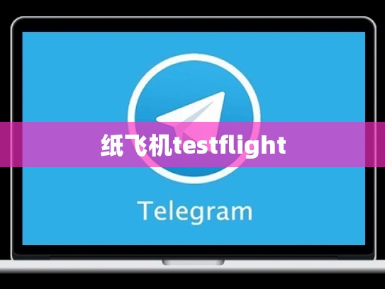 纸飞机testflight