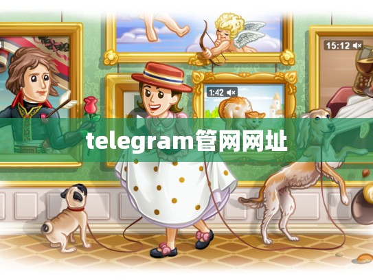 telegram管网网址