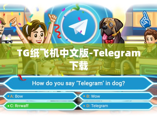 TG纸飞机中文版-Telegram下载