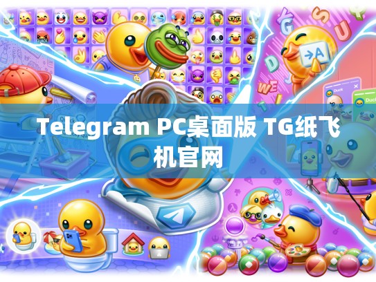 Telegram PC桌面版 TG纸飞机官网
