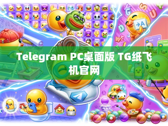 Telegram PC桌面版 TG纸飞机官网