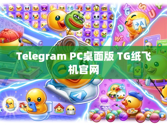 Telegram PC桌面版 TG纸飞机官网