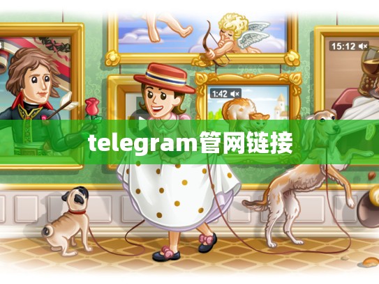 telegram管网链接