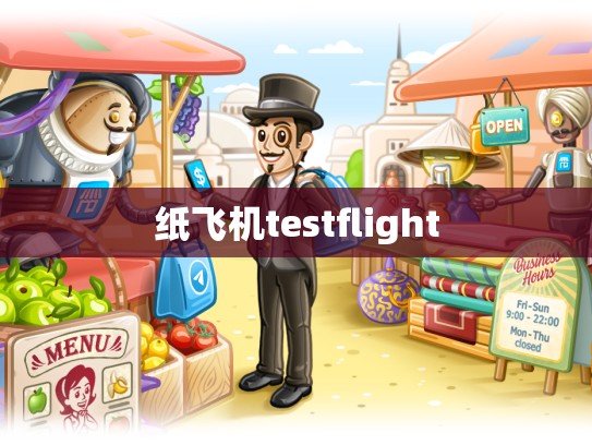 纸飞机testflight