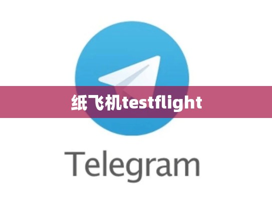 纸飞机testflight