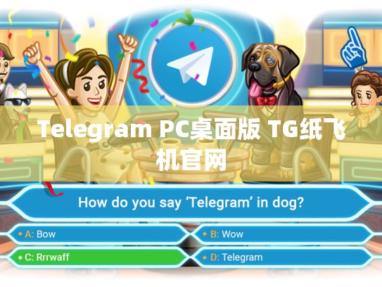 Telegram PC桌面版 TG纸飞机官网