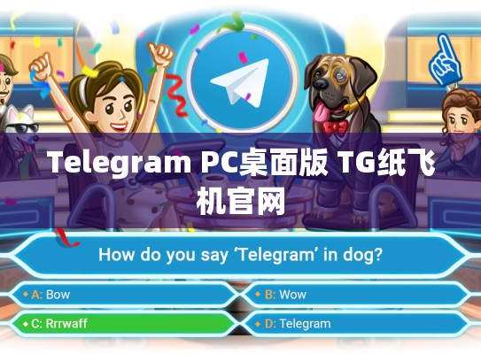 Telegram PC桌面版 TG纸飞机官网