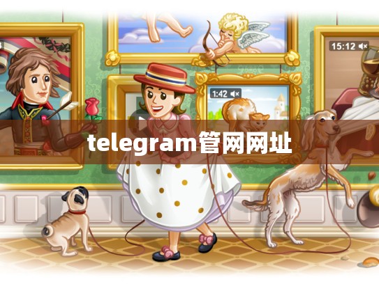 telegram管网网址