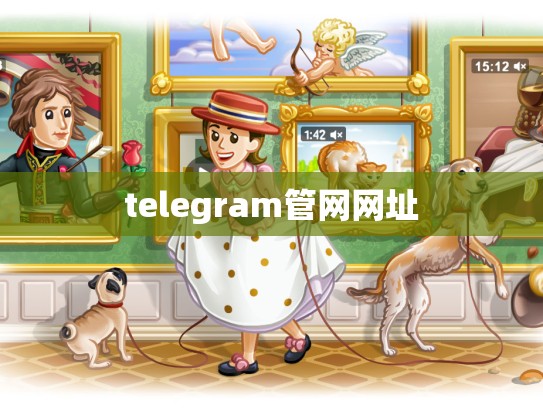 telegram管网网址