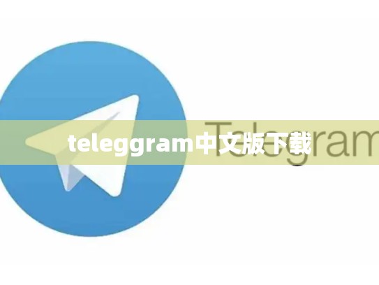 teleggram中文版下载