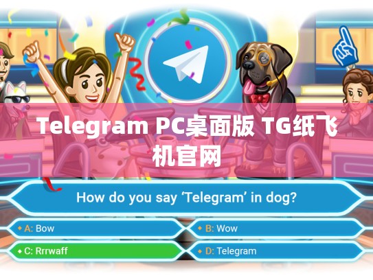 Telegram PC桌面版 TG纸飞机官网