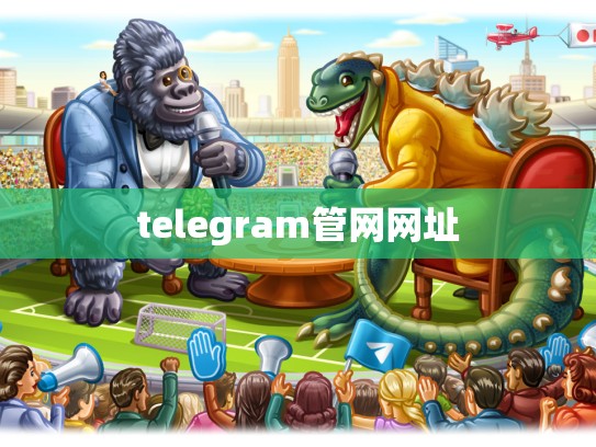 telegram管网网址