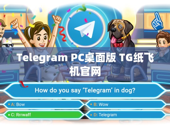 Telegram PC桌面版 TG纸飞机官网
