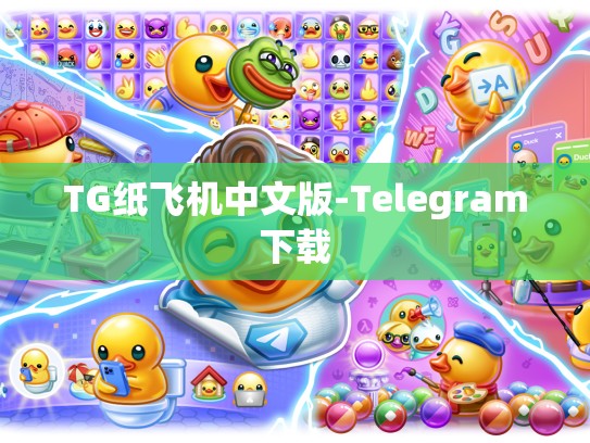TG纸飞机中文版-Telegram下载