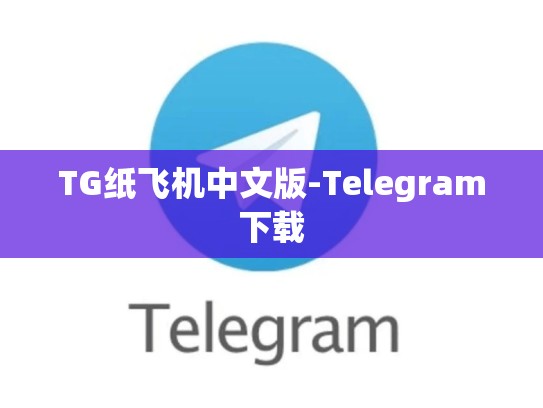 TG纸飞机中文版-Telegram下载