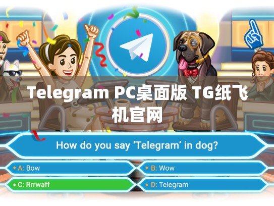 Telegram PC桌面版 TG纸飞机官网