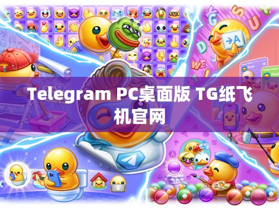 Telegram PC桌面版 TG纸飞机官网