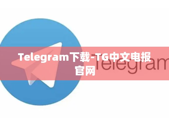 Telegram下载-TG中文电报官网