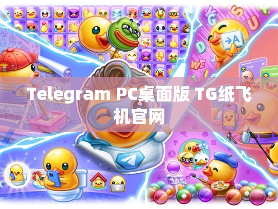 Telegram PC桌面版 TG纸飞机官网