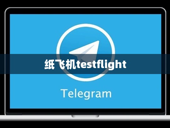 纸飞机testflight