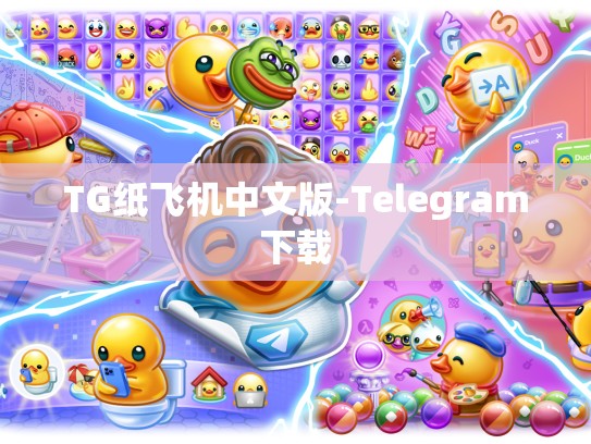 TG纸飞机中文版-Telegram下载