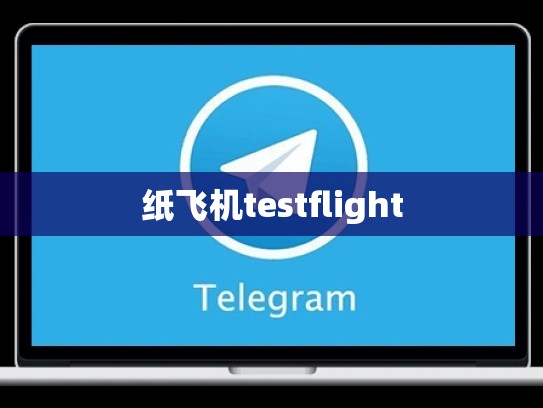 纸飞机testflight