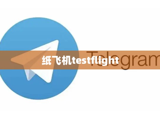 纸飞机testflight