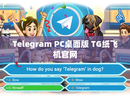Telegram PC桌面版 TG纸飞机官网