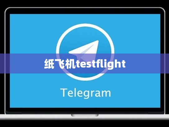 纸飞机testflight
