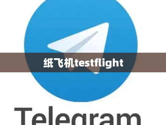 纸飞机testflight