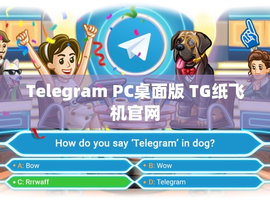 Telegram PC桌面版 TG纸飞机官网