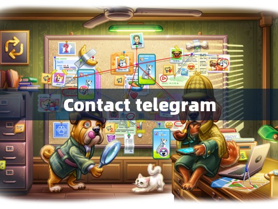 Contact telegram