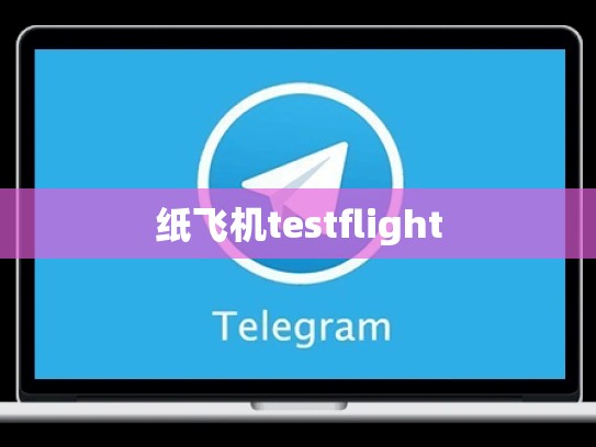 纸飞机testflight