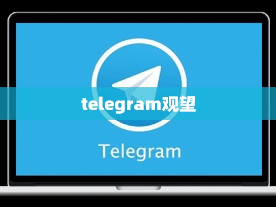 telegram观望