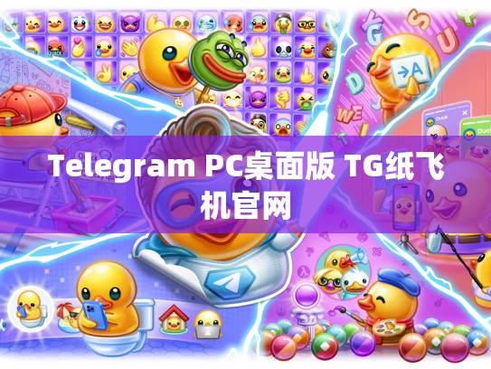 Telegram PC桌面版 TG纸飞机官网
