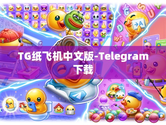 TG纸飞机中文版-Telegram下载