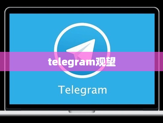 telegram观望