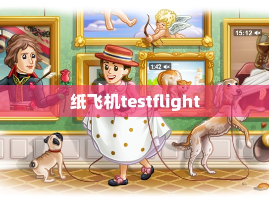 纸飞机testflight