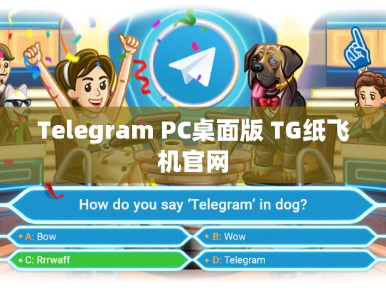 Telegram PC桌面版 TG纸飞机官网