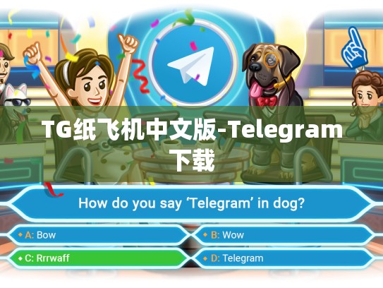 TG纸飞机中文版-Telegram下载