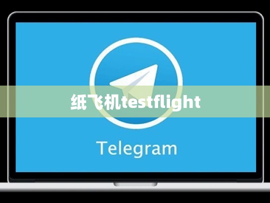 纸飞机testflight