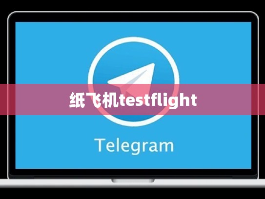 纸飞机testflight