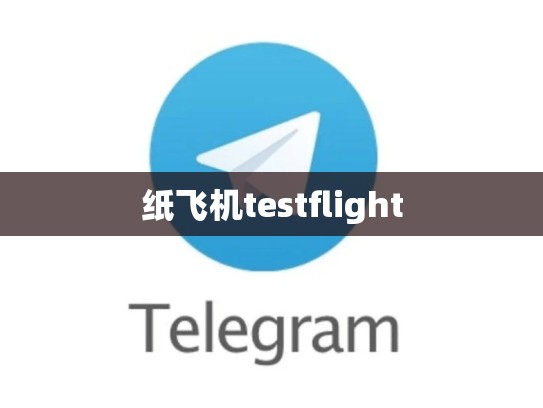 纸飞机testflight