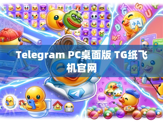 Telegram PC桌面版 TG纸飞机官网