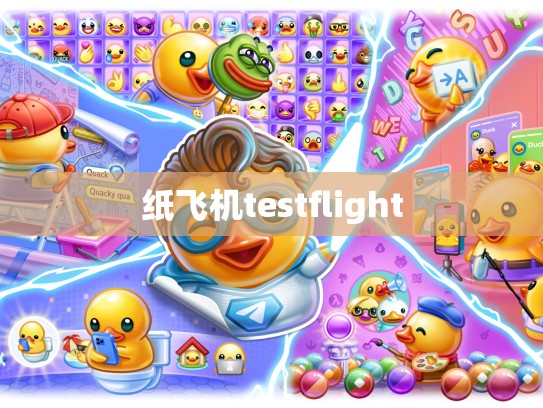 纸飞机testflight